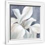Gramercy White