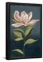 Essential Black