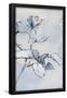 Essential Black