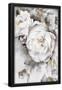 Essential Black