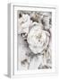 White Frame