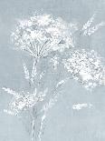 Delicate Botanical Blue I-Alex Black-Art Print