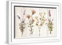White Frame
