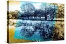 Stretched Canvas