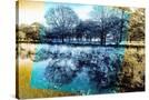 Stretched Canvas