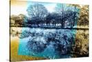 Stretched Canvas