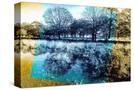 Stretched Canvas