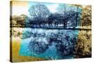 Stretched Canvas