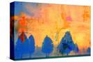 Stretched Canvas