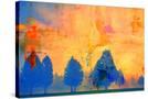 Stretched Canvas