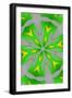 Black Frame