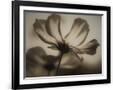 Gramercy Black