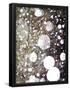 Essential Black