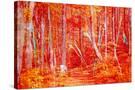 Stretched Canvas
