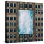 Stretched Canvas