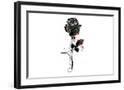 Black Frame