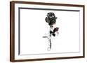 Brown Frame