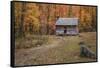 Alex Cole Cabin-Galloimages Online-Framed Stretched Canvas