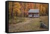 Alex Cole Cabin-Galloimages Online-Framed Stretched Canvas