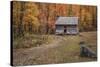 Alex Cole Cabin-Galloimages Online-Stretched Canvas