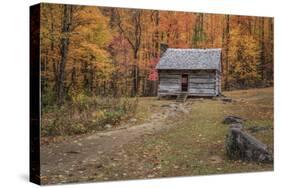 Alex Cole Cabin-Galloimages Online-Stretched Canvas