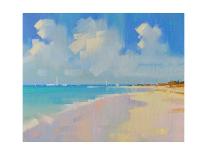 Playa 15-Alex Hook Krioutchkov-Art Print