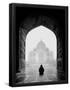 Essential Black