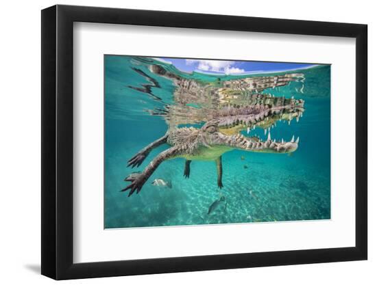 Premium Photographic Print, , large