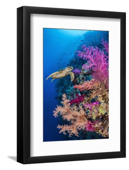 Photographic Print, , large