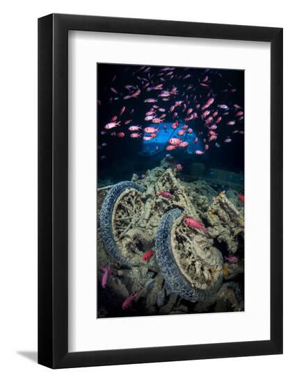 Premium Photographic Print, , large