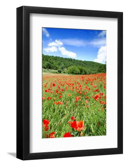 Premium Photographic Print, , large