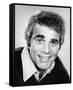 Alex Rocco-null-Framed Stretched Canvas