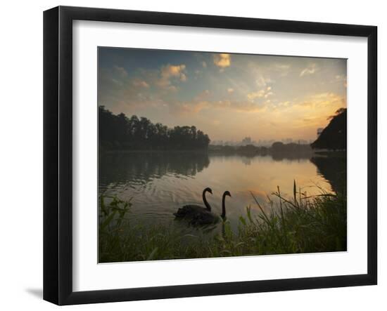 Photographic Print, , large