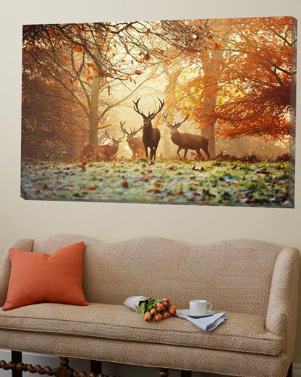 Loft Art, , large