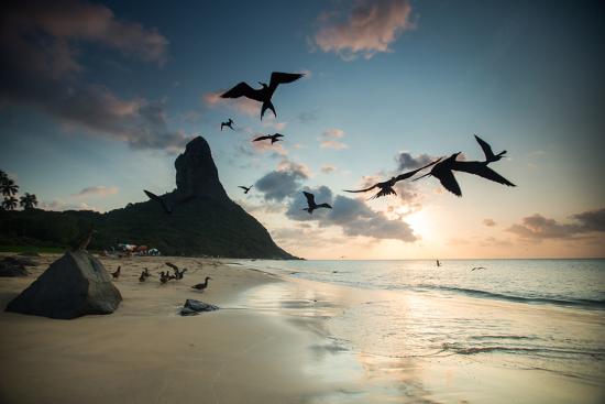 Premium Photographic Print, , large