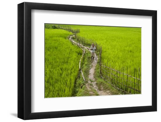 Premium Photographic Print, , large