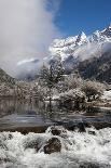 Early in Morning Frost in Mount Siguniang-Alex Treadway-Photographic Print