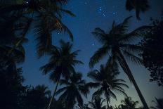 Swaying palm fronds and stars at Palomino on the Carribean coast of Colombia, South America-Alex Treadway-Photographic Print