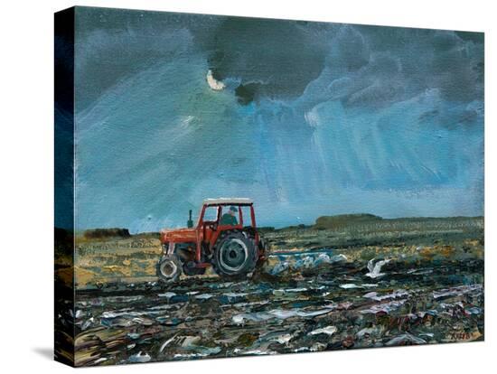 Stretched Canvas Print, , large