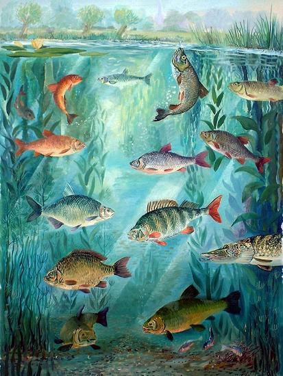 Giclee Print, , large