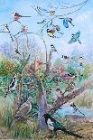 Garden Birds, 2007-Alex Williams-Framed Giclee Print