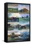 Canvas Black