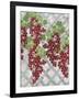 Alexa Vineyard-Bee Sturgis-Framed Art Print