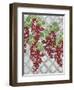 Alexa Vineyard-Bee Sturgis-Framed Art Print