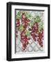 Alexa Vineyard-Bee Sturgis-Framed Art Print