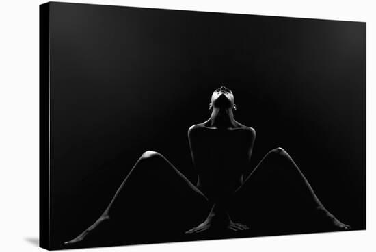 Alexa-Jozef Kiss-Stretched Canvas