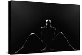 Alexa-Jozef Kiss-Stretched Canvas