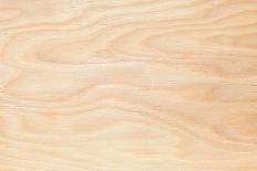 Wooden Background-alexalenin-Stretched Canvas