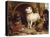 Alexander and Diogenes-Edwin Henry Landseer-Stretched Canvas