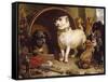 Alexander and Diogenes-Edwin Henry Landseer-Framed Stretched Canvas